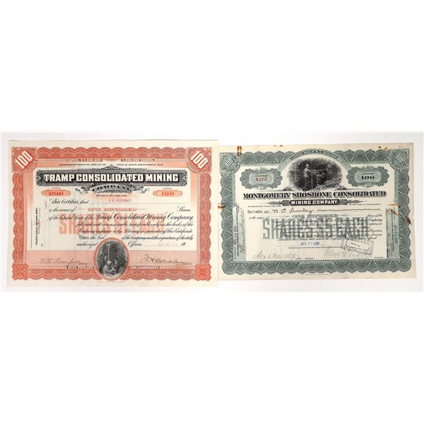 Tramp Consolidated/Montgomery Shoshone Mining Stocks (2) [193410]