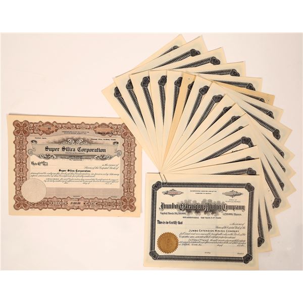 Goldfield Unissued Mining Stocks, 20 [192421]