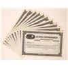 Image 1 : Luning Cons. Silver Stocks, 10 [192184]