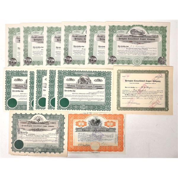 Yerington Related Copper & Gold Stock Collection [192112]