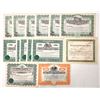 Image 1 : Yerington Related Copper & Gold Stock Collection [192112]