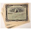 Image 1 : Watsonville Tree Service Stock Certificates (25) [192965]