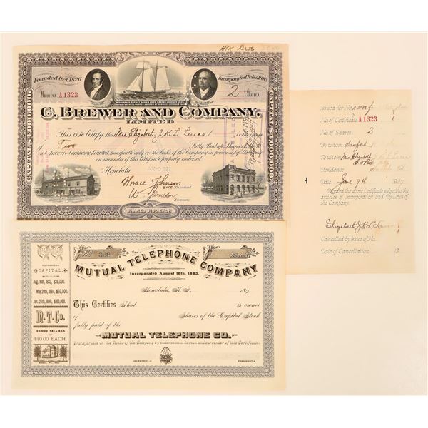 Pair of Hawaiian Stock Certificates [191407]
