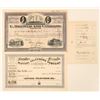 Image 1 : Pair of Hawaiian Stock Certificates [191407]