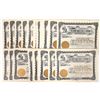 Image 1 : Unissued New Mexico Cattle Stocks, 1900s [192562]