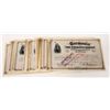 Image 1 : Germanica Fire Insurance Stocks, 45, 1880-84 [192291]