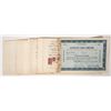 Image 1 : Atlantic City Racing Assoc. Stocks, 30 [192298]
