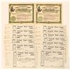 Image 1 : Wool Stocks, 2 Different, 15 Total [191262]