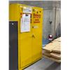 Image 1 : ARMOIRE POUR PRODUIT INFLAMABLE WILLIAMS