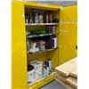 Image 2 : ARMOIRE POUR PRODUIT INFLAMABLE WILLIAMS