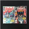 Image 1 : LOT OF 2 PUNISHER COMICS (MARVEL COMICS)