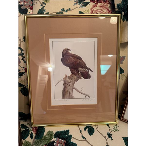 Luke Raffin golden eagle 11" x 13 1/2"