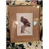 Image 1 : Luke Raffin golden eagle 11" x 13 1/2"