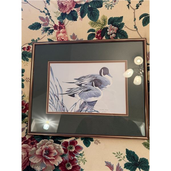 Pintail pals 13 1/2" x 11"