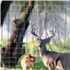 Image 3 : Texas Tough: 1,980 Feet of Premium Game Fence by Stay-Tuff