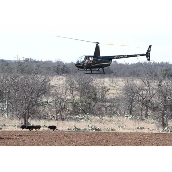 Sky Shots: Aerial Hog Hunt over South Texas