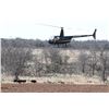 Image 1 : Sky Shots: Aerial Hog Hunt over South Texas