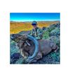Image 1 : Desert Ram: Aoudad Hunt with Ahrens Ranch & Wildlife