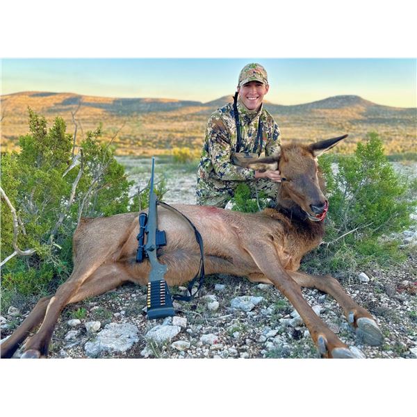 Freezer Filler: Cow Elk Hunt for Two in the Trans Pecos