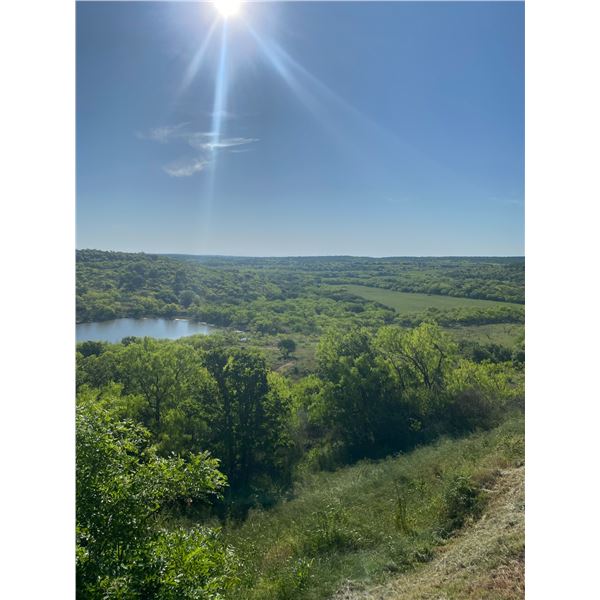 Hill Country Thunder: Turkey & Hog Hunt at Sandy Creek Ranch