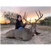 Image 7 : Legacy in the Brush: Father & Child South Texas Management Hunt at Westwind Ranch