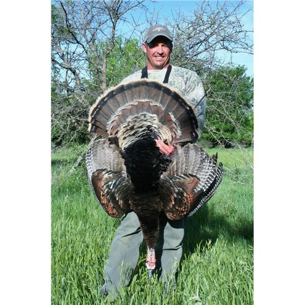 Spring Strut: Guided Rio Grande Turkey Hunt for Two at MT7 Ranch