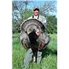 Image 1 : Spring Strut: Guided Rio Grande Turkey Hunt for Two at MT7 Ranch