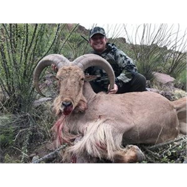 Ram Country: Aoudad Adventure at El Cielo Ranch