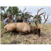 Image 4 : West Texas Wilderness: Trophy Bull Elk Hunt for One