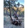 Image 6 : West Texas Wilderness: Trophy Bull Elk Hunt for One