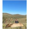 Image 7 : West Texas Wilderness: Trophy Bull Elk Hunt for One