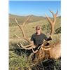 Image 8 : West Texas Wilderness: Trophy Bull Elk Hunt for One