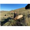 Image 9 : West Texas Wilderness: Trophy Bull Elk Hunt for One