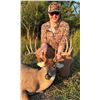 Image 1 : Whitetail Bonds: Youth & Adult Hunt at La Paloma Ranch