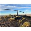 Image 1 : Sky High Pursuit: Helicopter Aoudad Hunt with Woodward Aviation