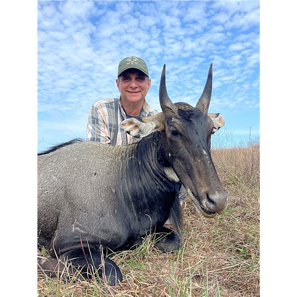 Incredible Nilgai Hunt - El Sauz Division of East Foundation
