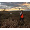 Image 4 : Bobwhite & Borregos: South Texas Quail Hunt on the Historic Jones Ranch