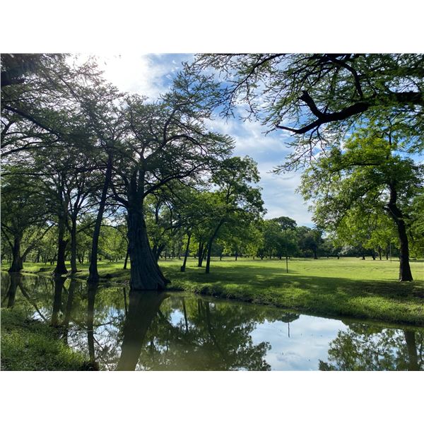 Blue Hole Bliss: Dinner & Skeet Shoot for 8 at Spring Creek Ranch