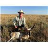 Image 2 : Panhandle Pursuit: Pronghorn Hunt for Two in Hartley County