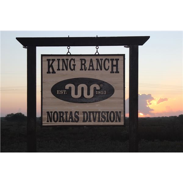 King Ranch Choice: Nilgai Hunt or Hunt & Fish Combo