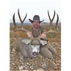 Image 1 : Canyon King: Trophy Mule Deer Hunt on the A.S. Gage Ranch