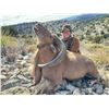 Image 2 : Wild River, Wild Game: Aoudad Hunt on Monarch Ranch East