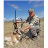 Image 5 : The Ultimate Group Adventure: New Mexico Pronghorn Hunt for Four