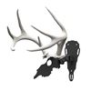 Image 2 : Antler Shed Mount + Skull Hooker Bracket