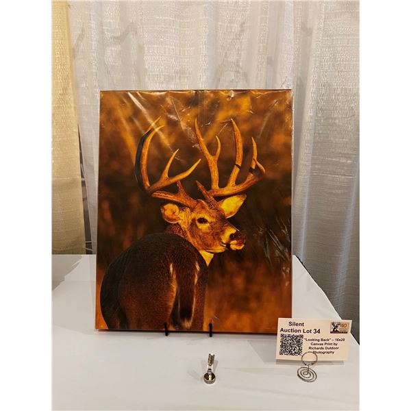 “Looking Back” – 16x20 Canvas Print by Richards Outdoor Photography