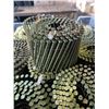 Image 2 : CRATE OF COIL NAILS