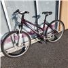 Image 1 : BLACK AND BURGUDY NORCO BIKE