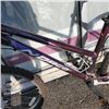 Image 2 : BLACK AND BURGUDY NORCO BIKE