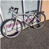 Image 1 : GREY GIANT BIKE