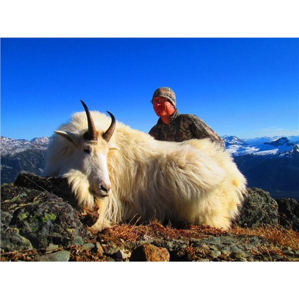 7 day Mountain Goat Hunt